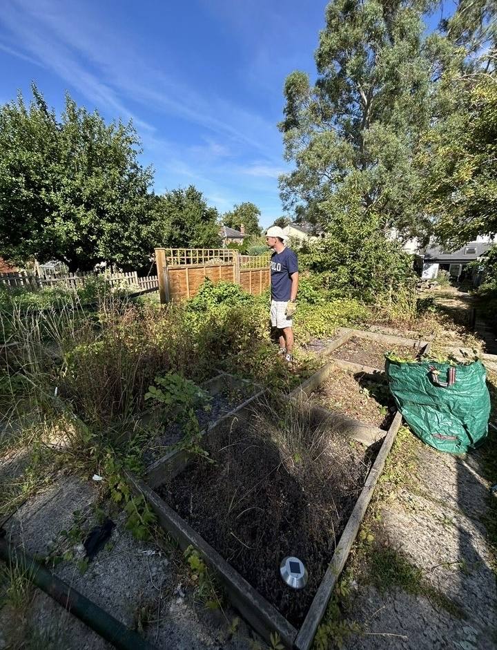 Flower bed before weeding