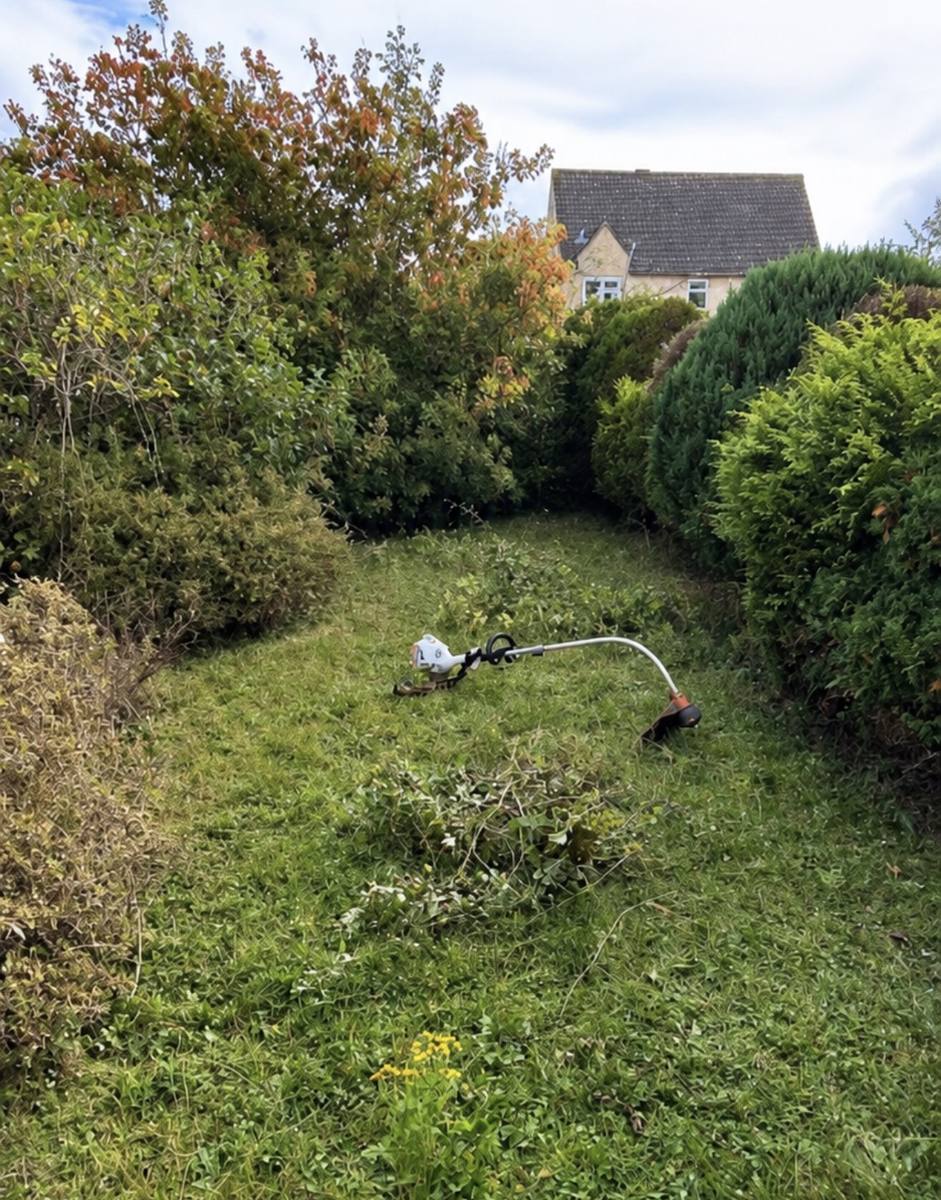 Lawn before mowing and strimming